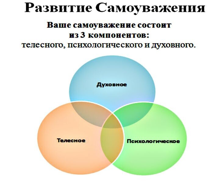  Дорогие мои читатели! Наверняка вам знакома идея зеркальности мира: окружающие люди относятся к нам ровно так, как мы относимся к себе.