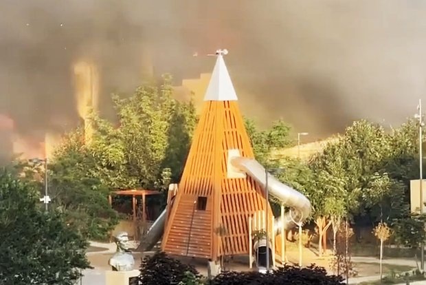 Фото: соцсети