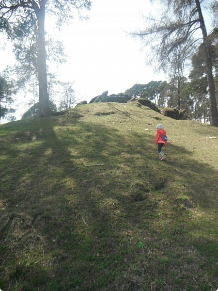 Холм в саду "Могилица"