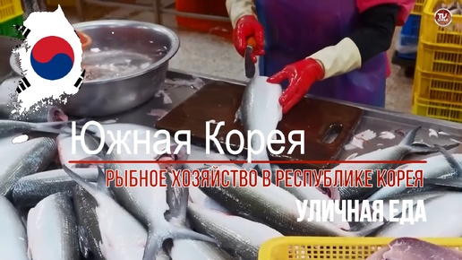 Уличная еда в Южной Корее - Рыбная промышленность Южной Кореи / СербаТВ 🔴