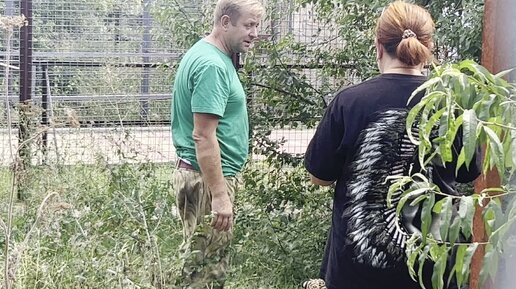 Олег Зубков и Алексагина внутри вольера с ягуаром Кабачком в парке львов Тайган (август 2023)