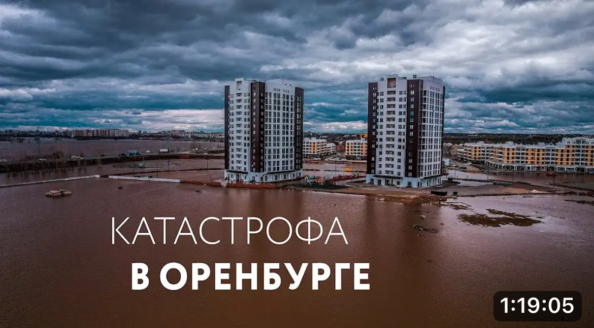 Фото: скриншот видео