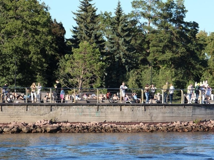     Фото: МК в Питере