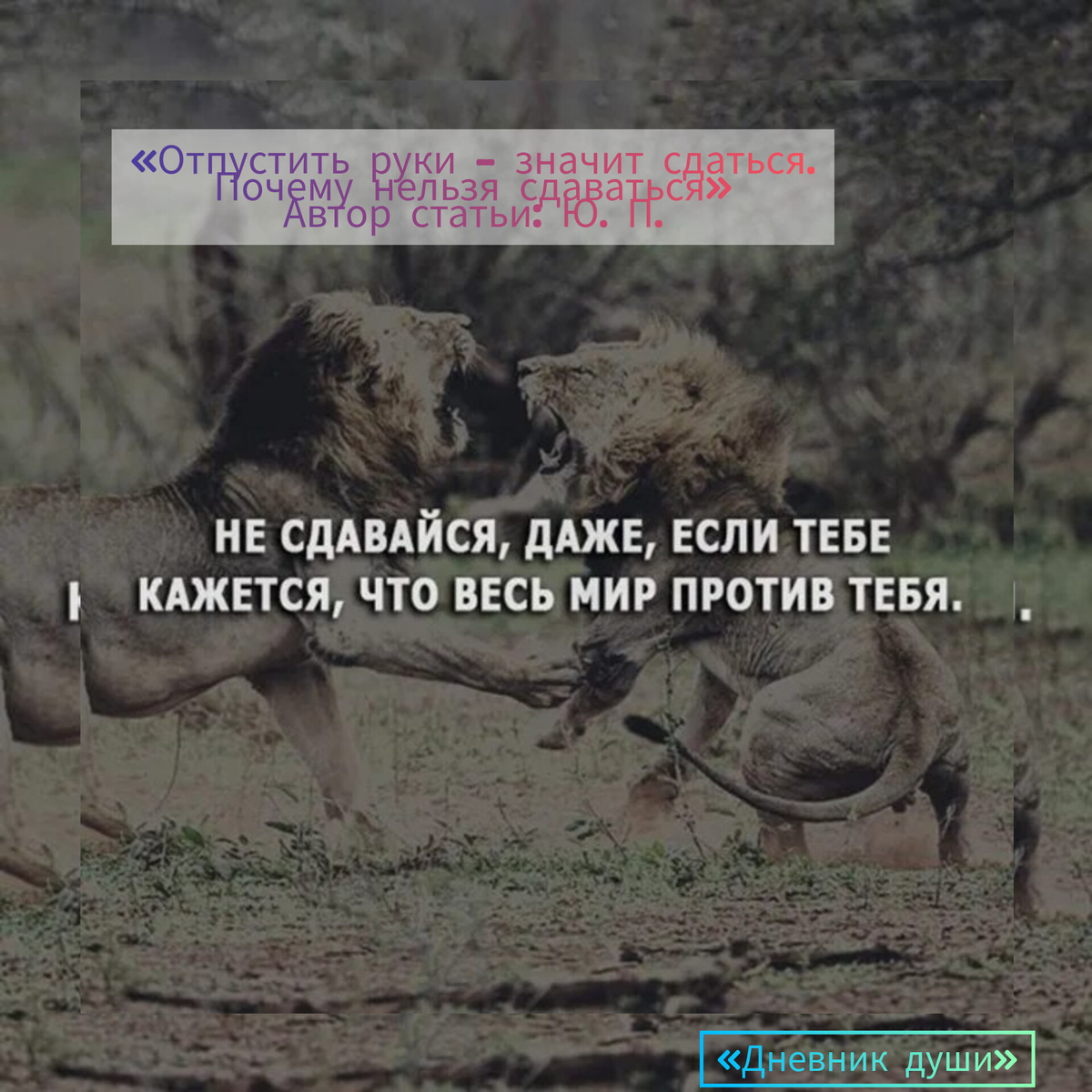 Доброго времени суток, уважаемые читатели! 🙋‍♀️ Хочу предоставить к чтению свою новую статью⤵️ 