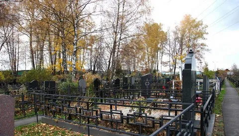 Фотография взята из источника yandex.ru