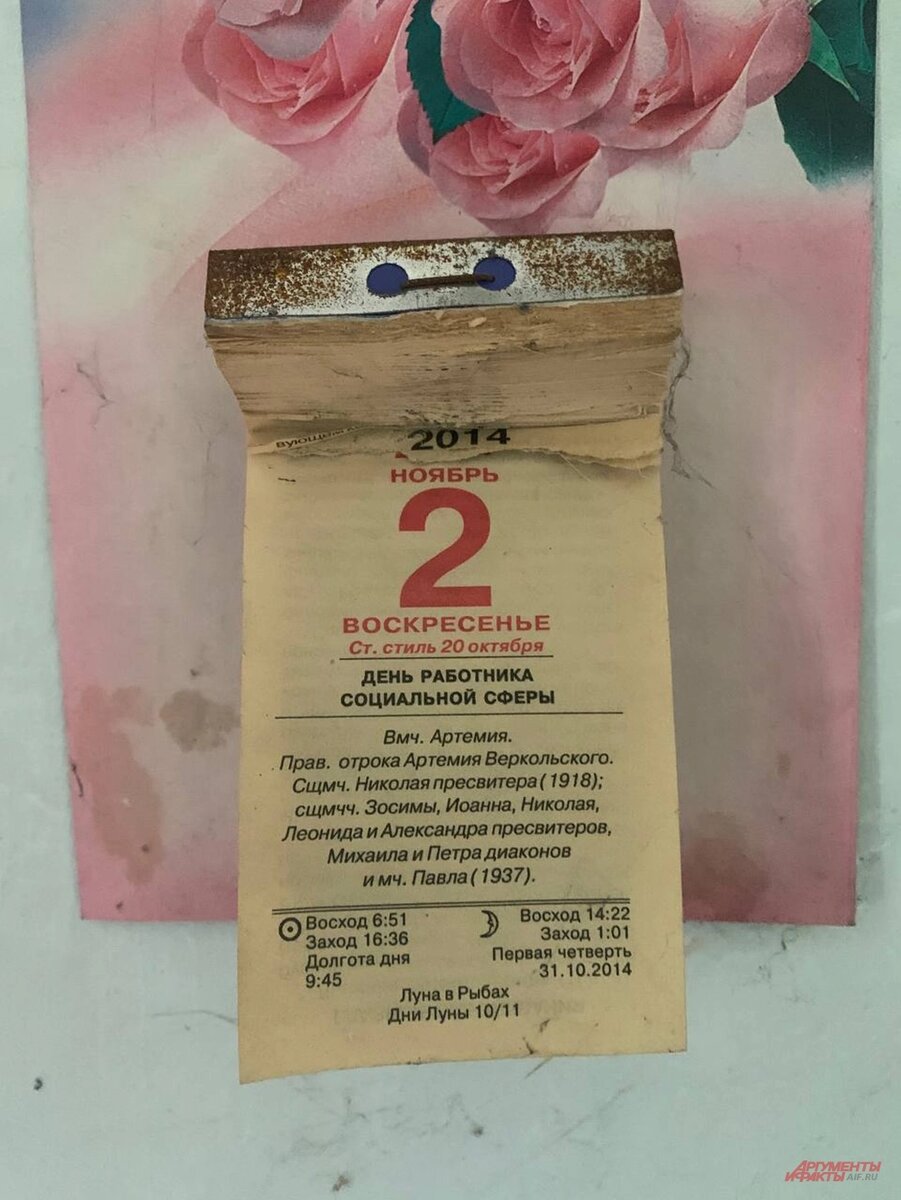    Фото:  АиФ/ Никита Сахаров