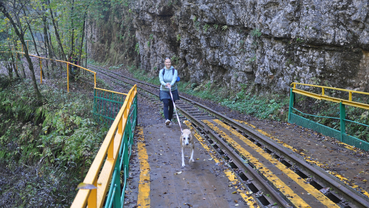 Сюрприз может ждать в любом месте