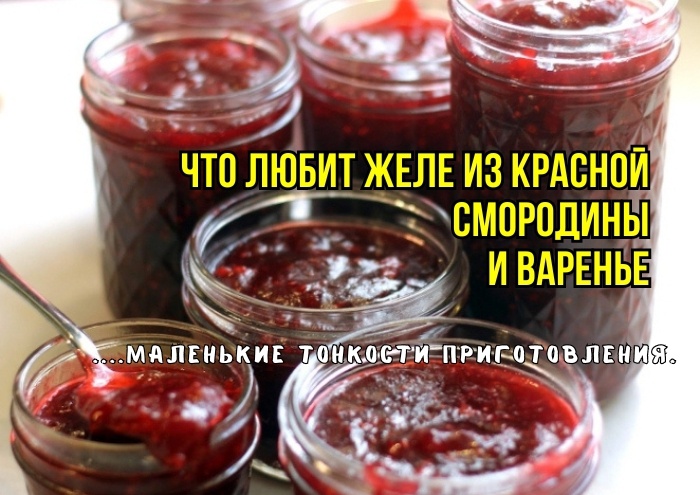 Джем из красной смородины с желатином на зиму