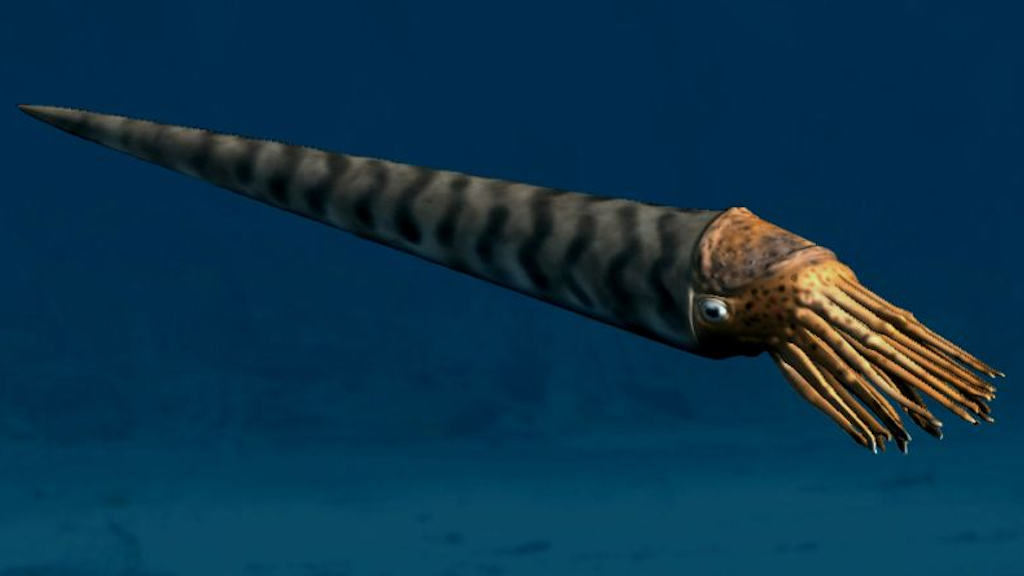 Первые головоногие хоть и были странными существами в конических раковинах, но всё же весьма узнаваемы.