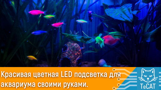 Красивая цветная LED подсветка для аквариума своими руками. Рыбки яркие как у продавцов.