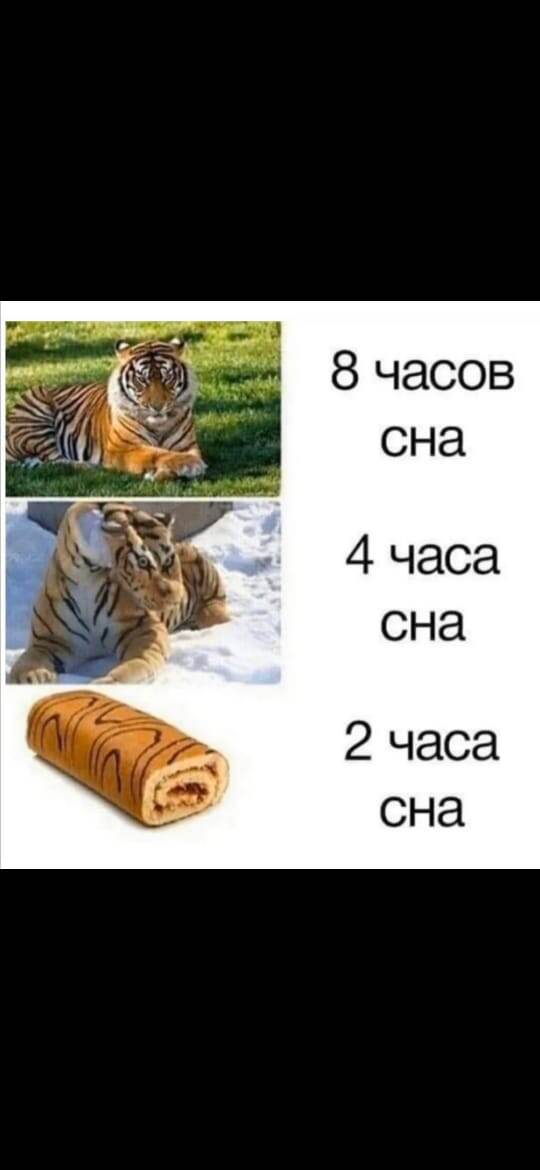 Пишите в комментариях какой вы тигр 🐅? Я -третий! Фото взято из свободного доступа сети Интернет. 