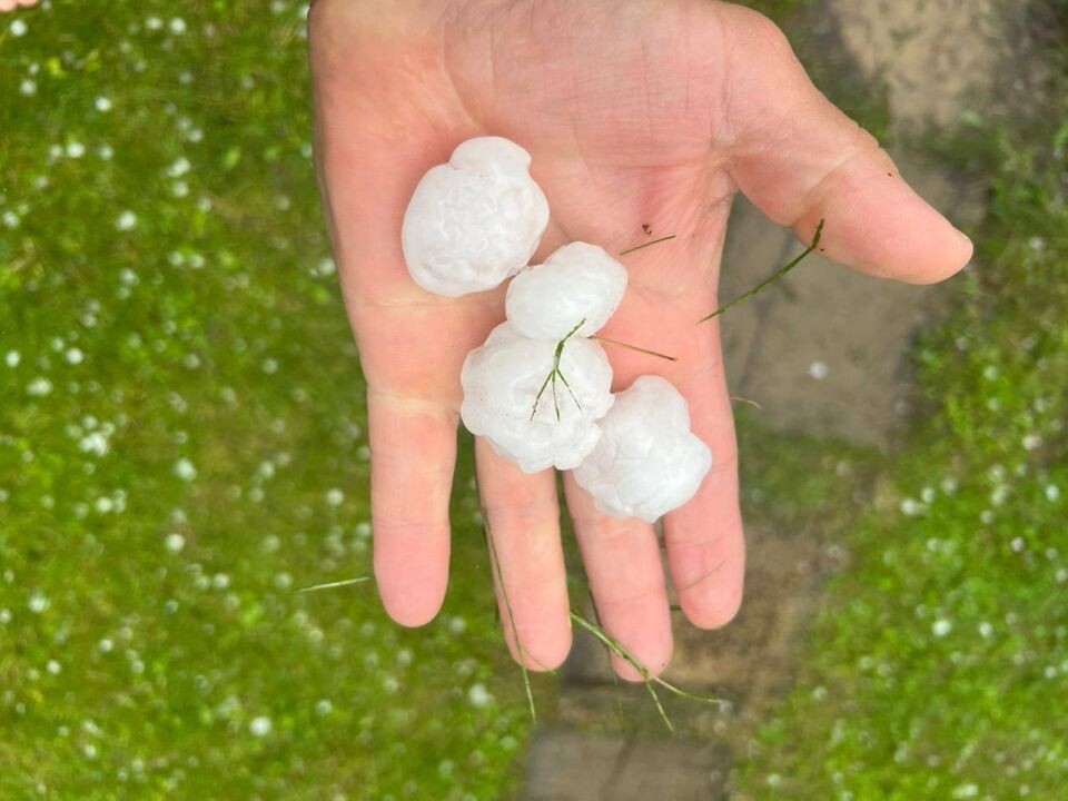    Град в Новосибирской области. Источник: "Инцидент Новосибирск"