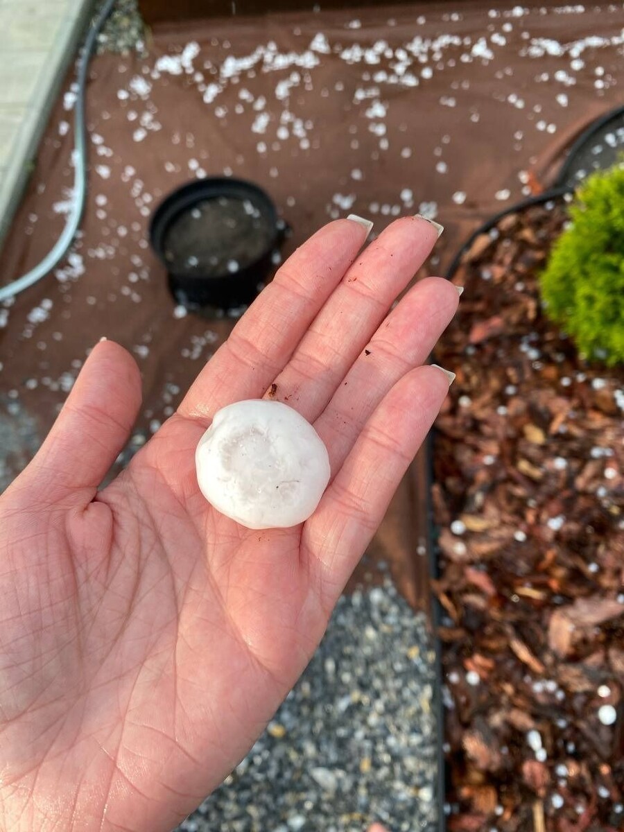    Град в Новосибирской области. Источник: "Инцидент Новосибирск"