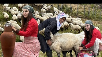 Повседневная жизнь кочевника: Приготовление молочных продуктов в горах ⛰️⛰️🏡