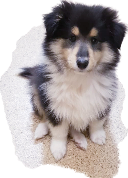 Живанши 3 месяца