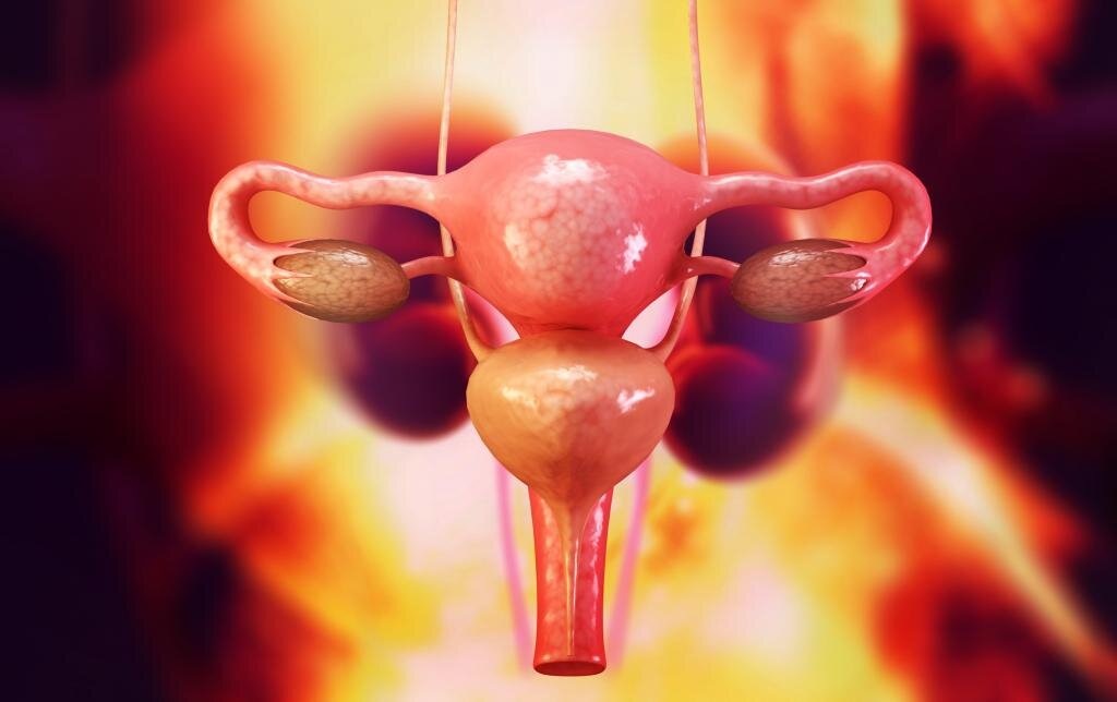 Что такое матка?