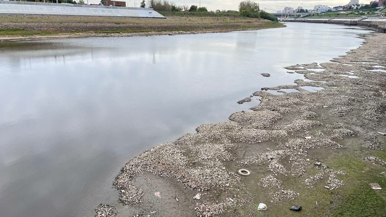 ИА SM-News Тюмень📷
