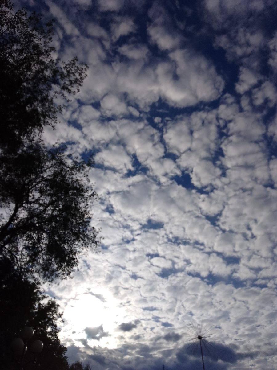 Источник: личное фото