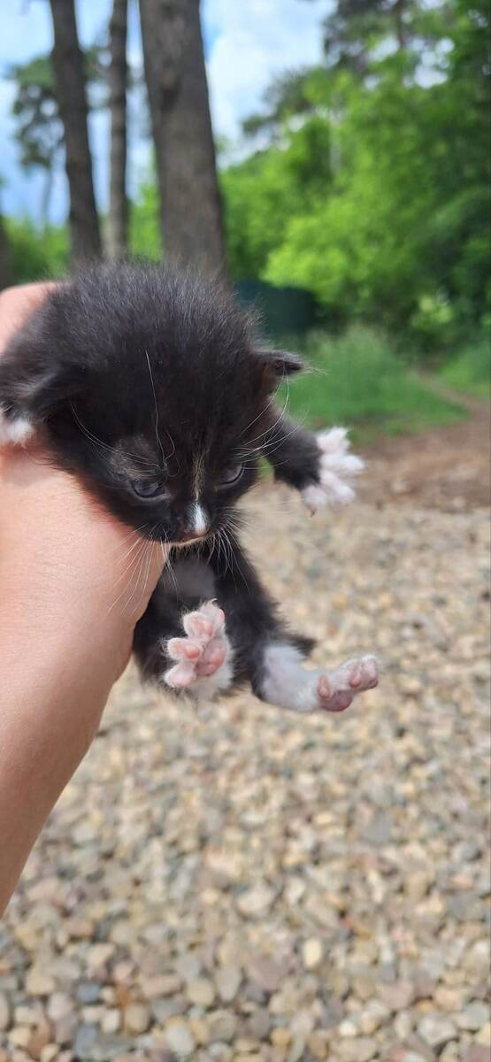 Совсем еще крошка