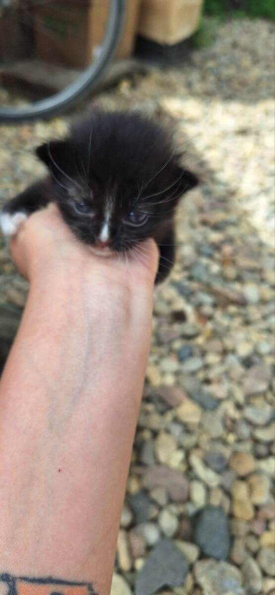 Еще и свет толком не видела