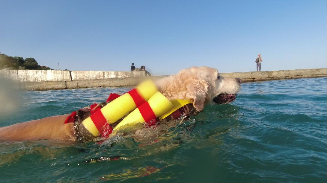 Куба в жилете, утро печального дня 23 июня 2024, пляж Любимовка на границе с Учкуевкой, где был обстрел