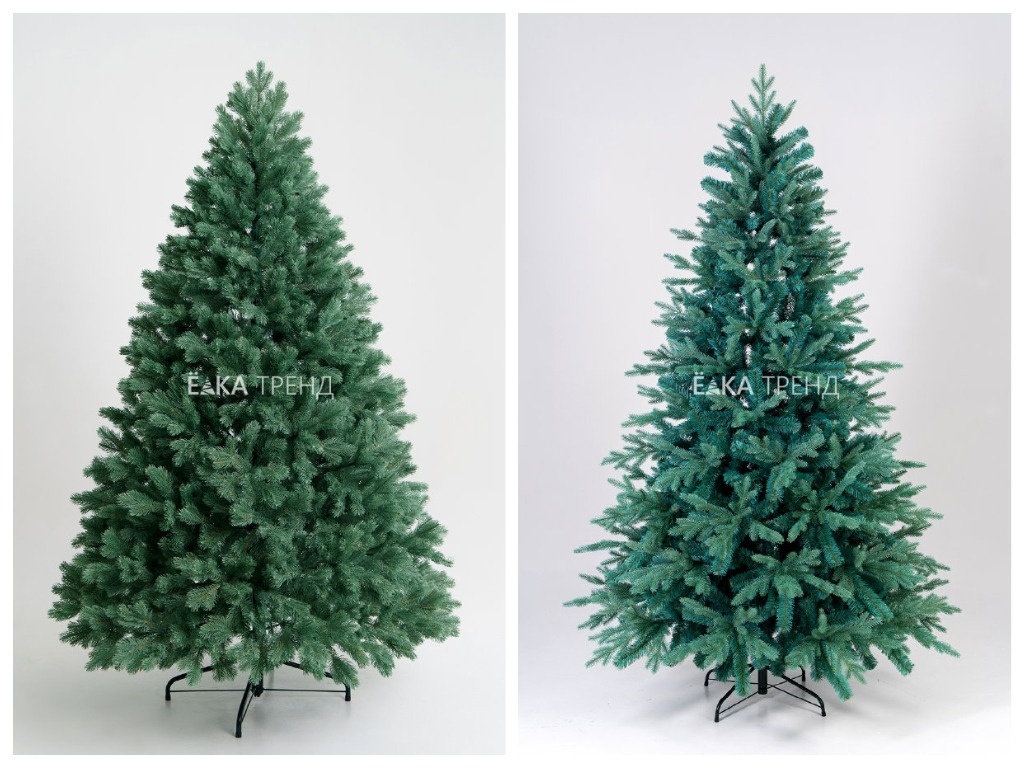 ели Бордо и Россо