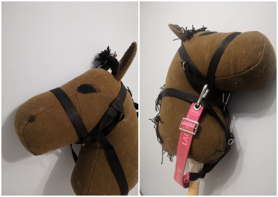    Фото предоставлено «Комсомольской правде-Челябинск»