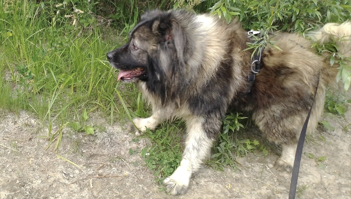 Злыдня в стрингах )))