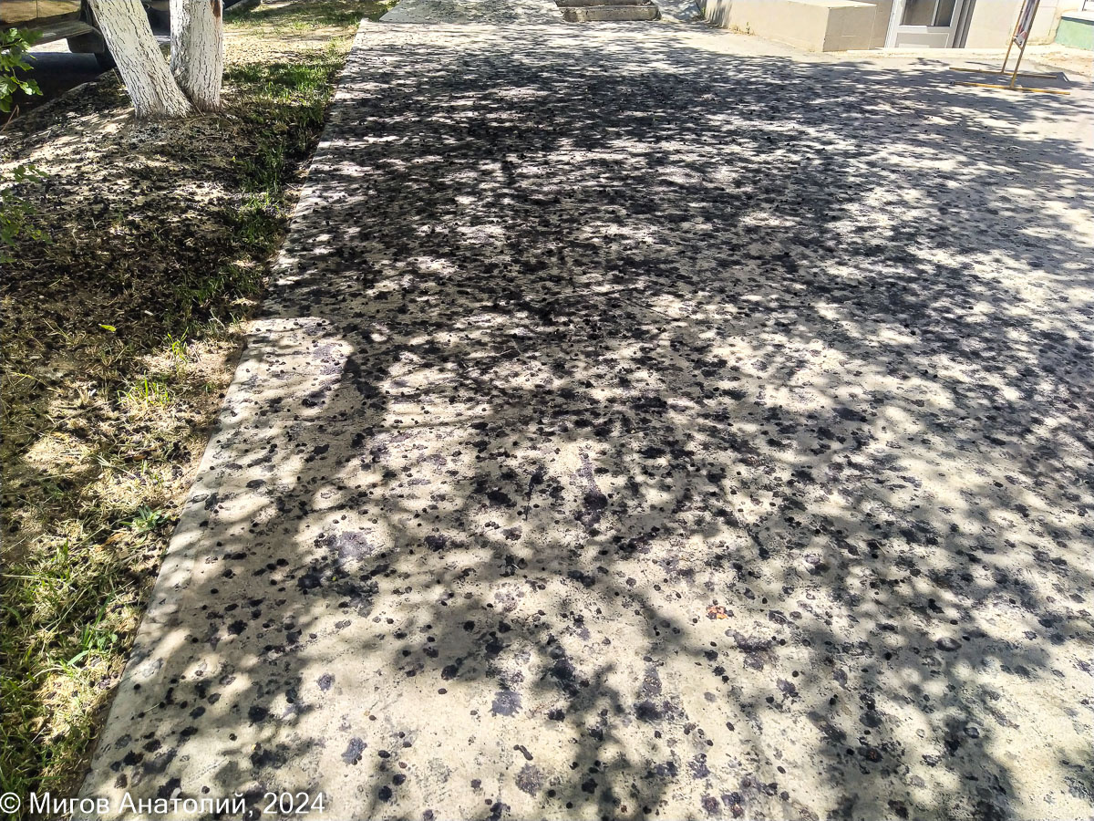 Так выглядит пешеходная дорожка под тутовым деревом на ул. Ленина в Старом Крыму.