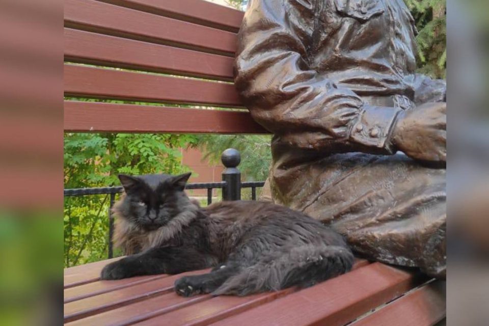 Фото: ГАРДТ