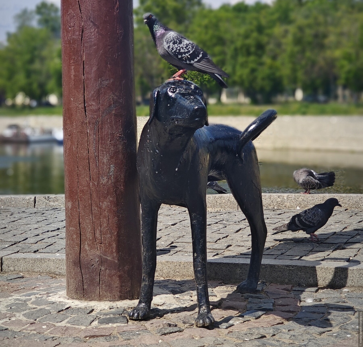 © Маша Малиновская