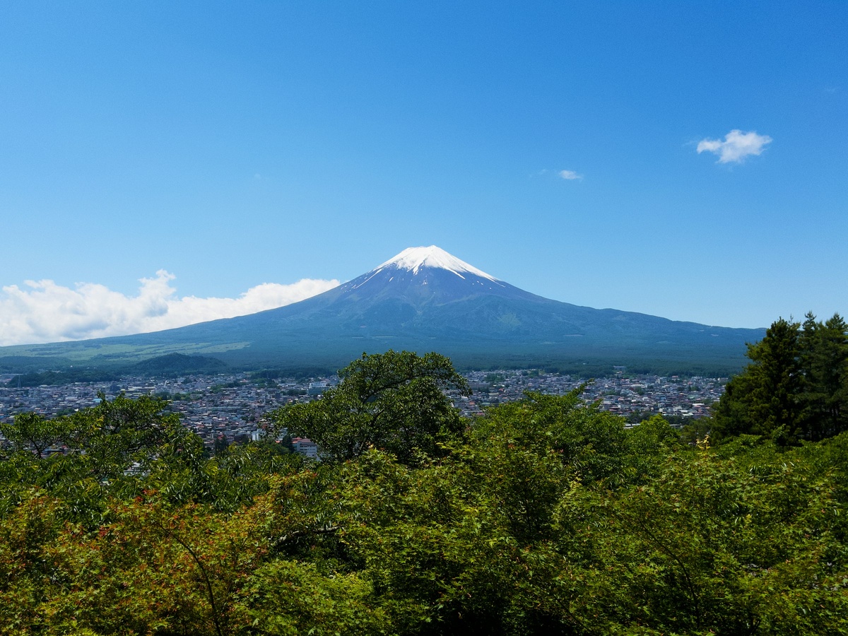 Фото с бесплатного фотостока https://unsplash.com, автор Alex Pagnotta