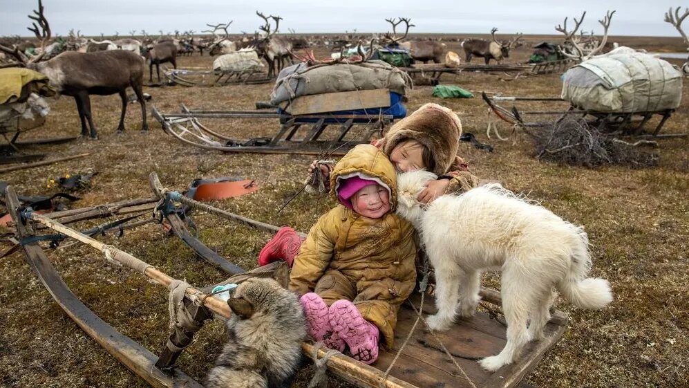 Фото: Федор Воронов / «Ямал-Медиа»