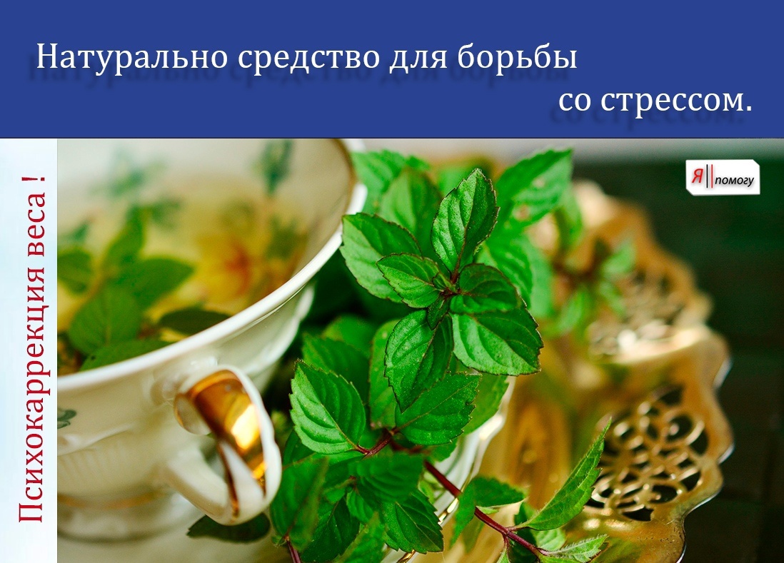 Проект «Я Помогу» - https://япомогу.com/