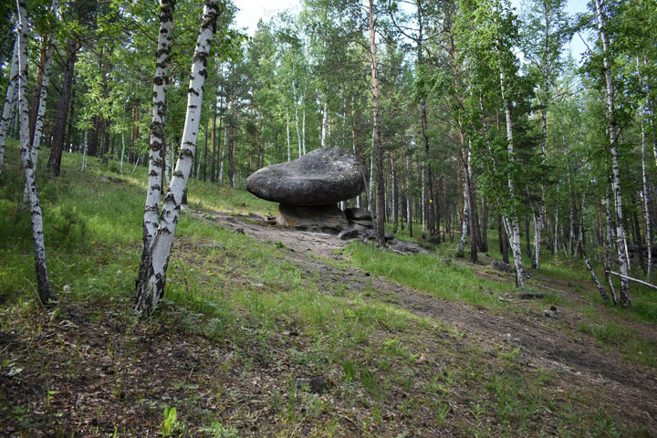 Фото: Минприроды Хакасии 