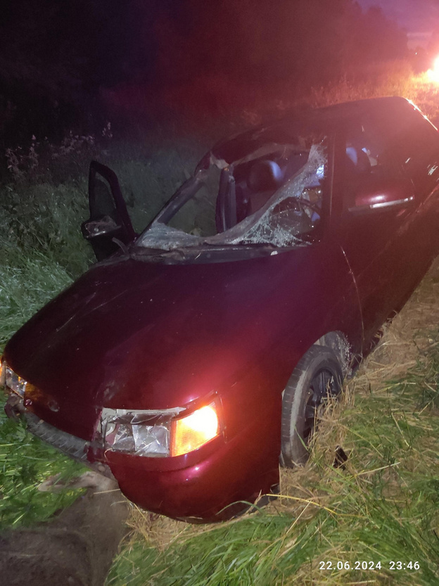    На трассе Киров - Русское сбили лося