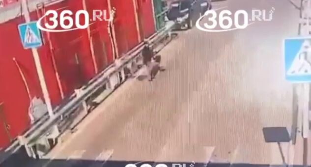    Телеканал «360»