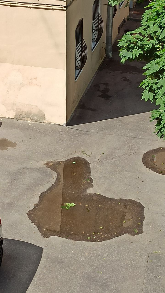 Фото: @mirumir_pic (https://www.instagram.com/mirumir_pic)