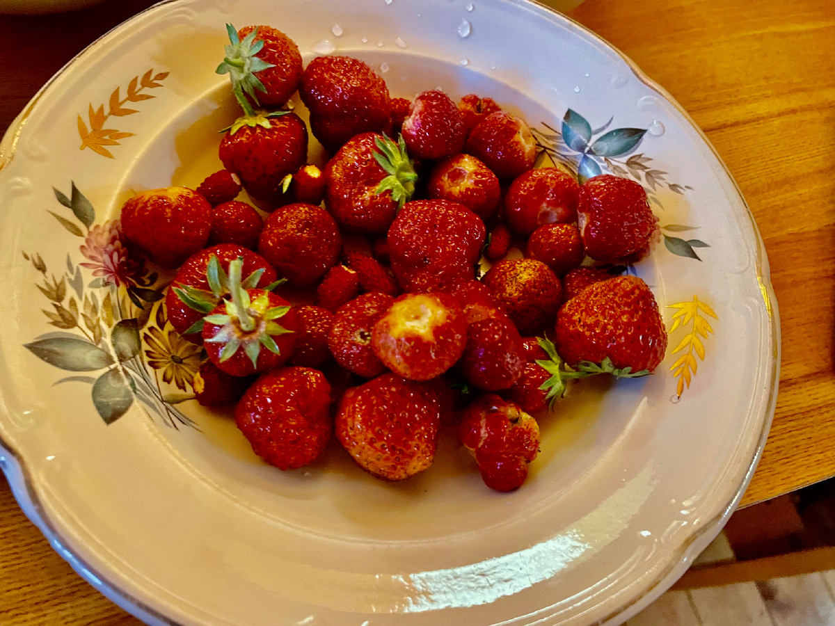 Клубника с земляникой, первая порция