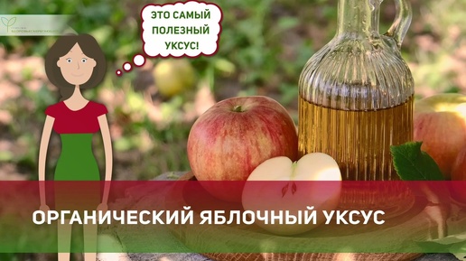 Органический яблочный уксус и уксусная матка, что это такое? Польза продукта