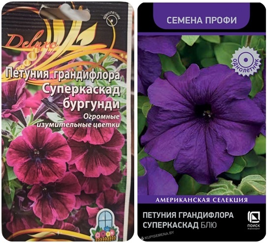 Внешний вид пакетов