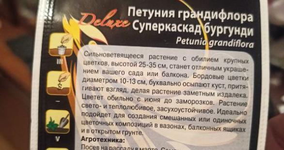 Бордо