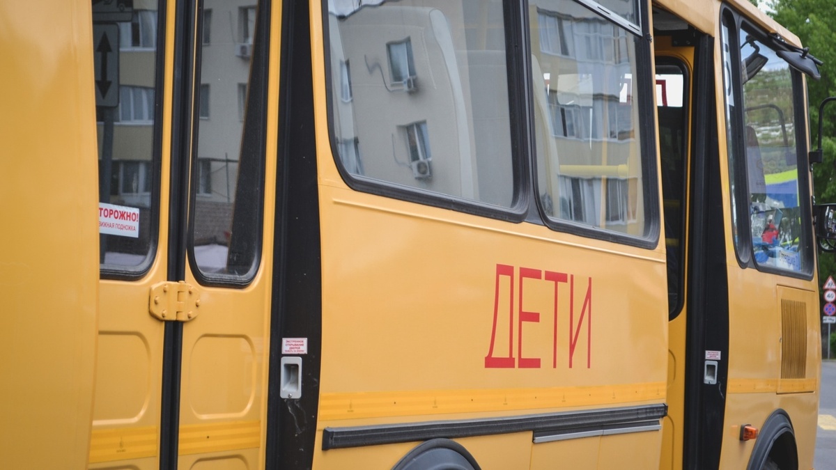     Источник: 1MI