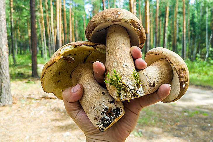    Фото Андрея Заржецкого