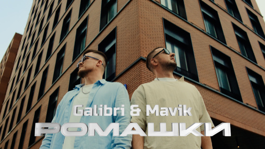 Galibri & Mavik- Ромашки (Премьера клипа, 2024)