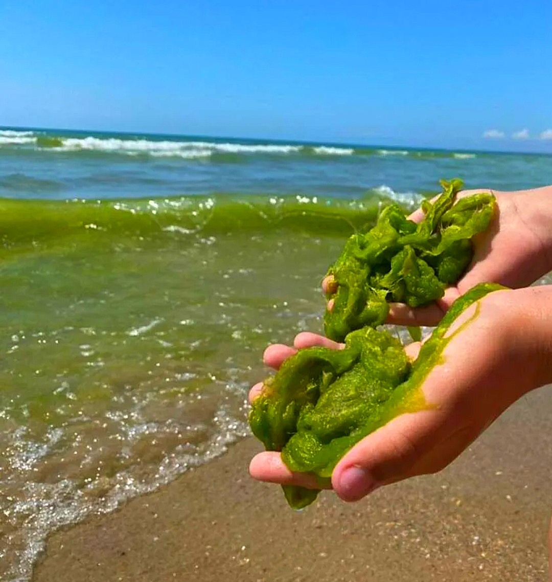 Не пугайтесь, это местный пляж. 