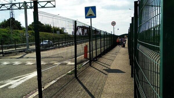    © Sputnik / Константин Гревцов