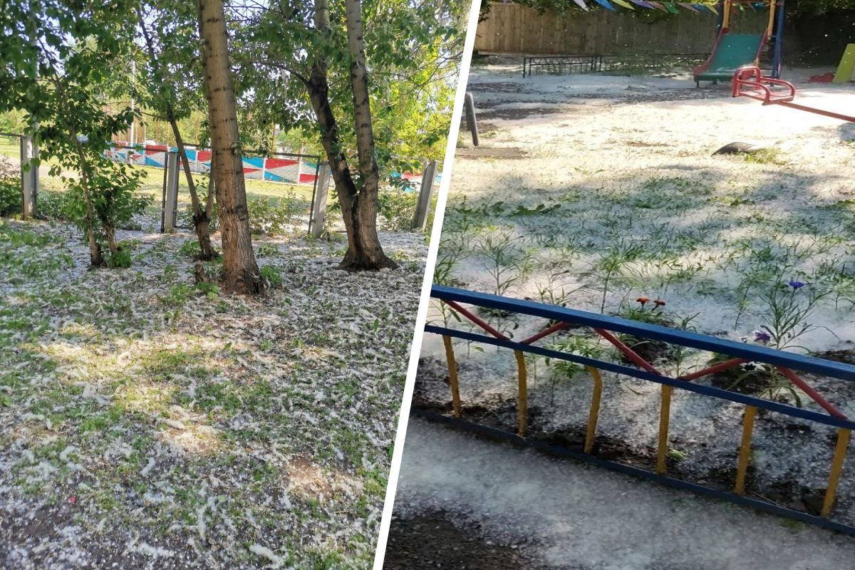 Фото: Мария Лендел, POKROVKA LIFE 124 / VK