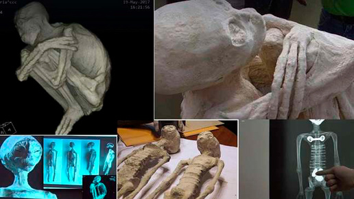В Перу обнаружены две новые «инопланетные» мумии
