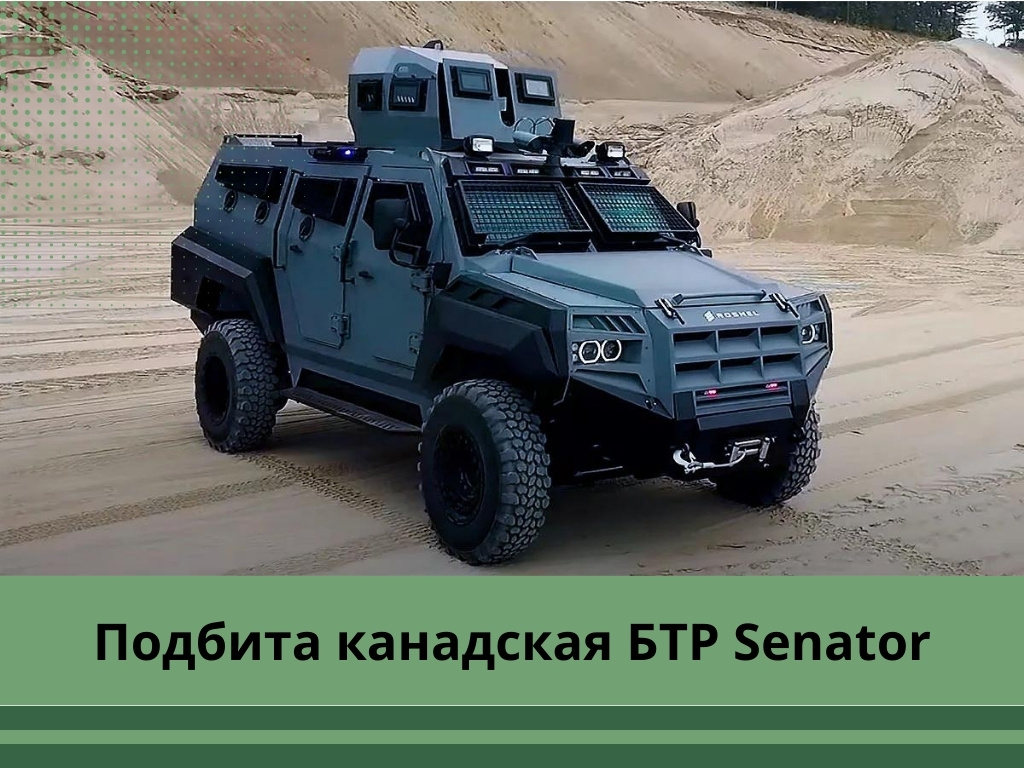 Фото: profile.ru